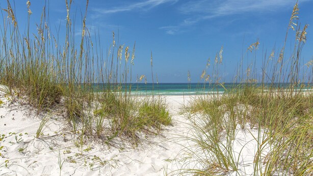 Une plage de sable bordée d’herbes hautes au premier plan, qui s’étend jusqu’à un océan bleu et limpide.