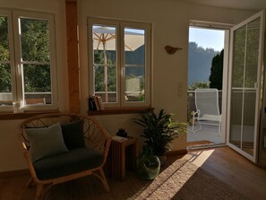 TV connectée, cheminée, livres