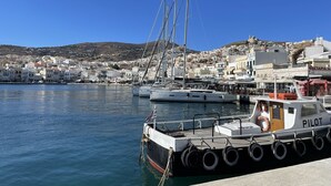 Marina - Wonderful 19th Century Neo-Classical Villa with large Pool & extensive gardens.  (Poseidonia)