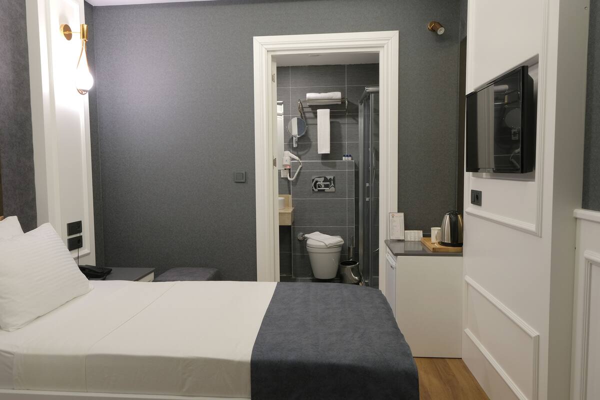 A hotel room with a bed, a small desk, a TV, a shower, and a toilet.