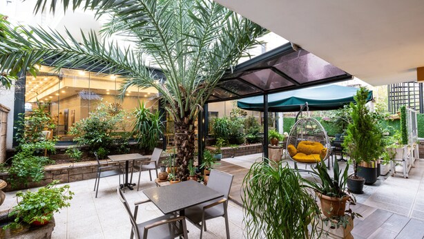Eine Terrasse im Freien mit Tisch und Stühlen, umgeben von Topfpflanzen und einem Hängesessel.