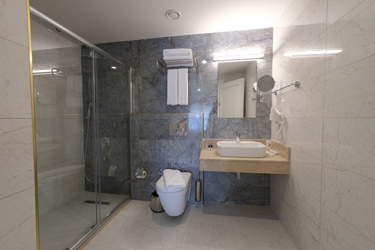 deluxe room | bathroom | shower, rainfall showerhead, free toiletries, hair dryer