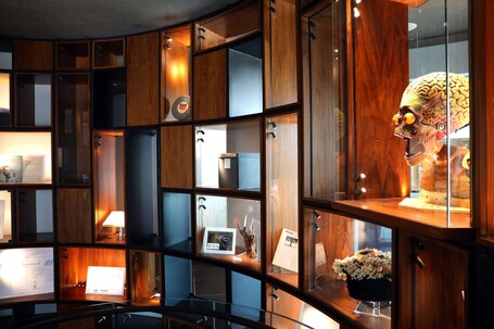 The WB Abu Dhabi, Curio Collection by Hilton - Image 1