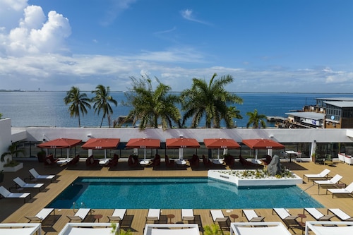 ROK Hotel Kingston, Tapestry Collection by Hilton