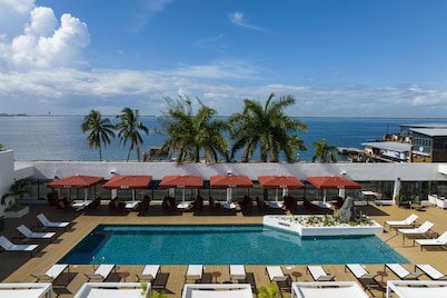 ROK Hotel Kingston, Tapestry Collection by Hilton