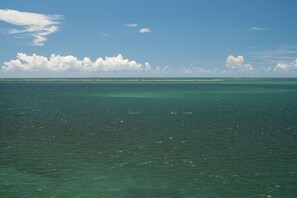 Room, 1 Bedroom, Balcony, Oceanfront | View from room