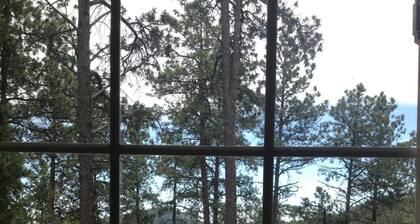 Black Hills Mountain Top Cabin with Great Views