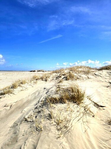 Ferienwohnung "Muschel" in der Villa Medici