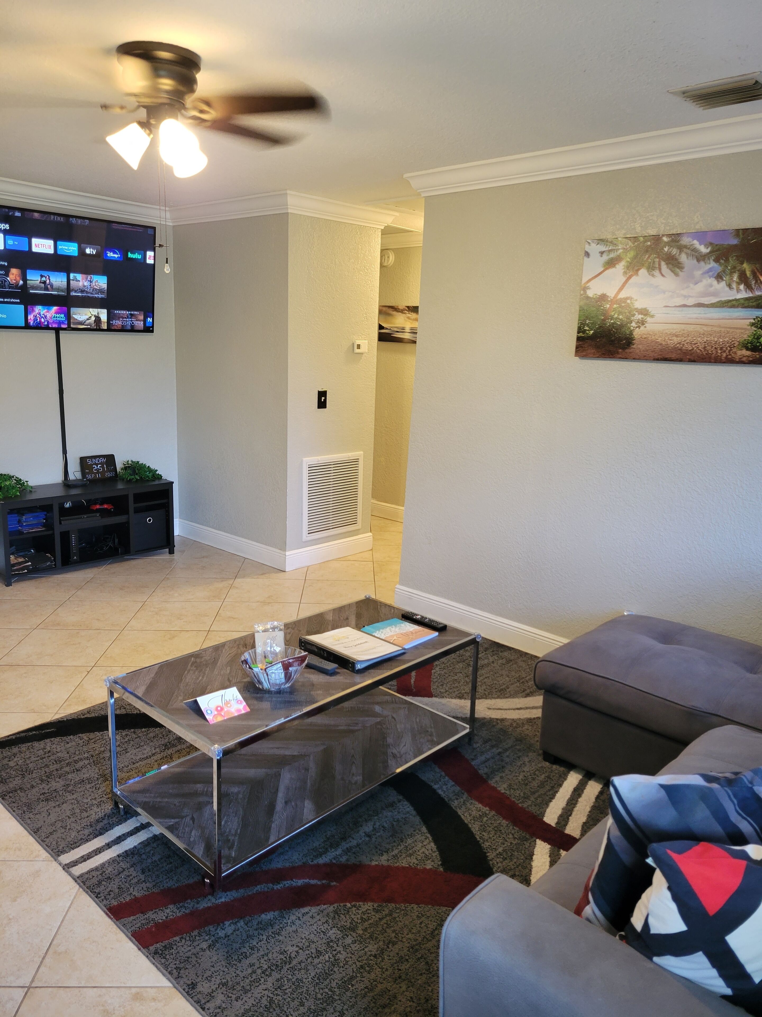 Älytelevisio, videopelejä, kirjoja