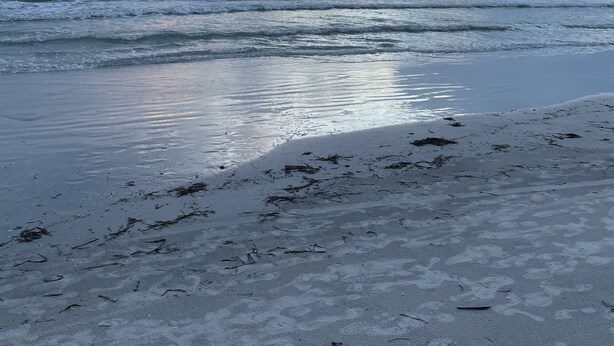 A beach with waves and a cloudy sky. - Beautiful Barefoot Beach Resort Condo B207 on Boca Ciega Bay with beach access  (Indian Shores)