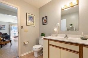 A bathroom with a white toilet, a vanity with a mirror, and a sink. There are framed pictures on the wall and a small plant on the vanity. - ⛰️☀️ SKIING, HIKING, VILLAGE OF ELLICOTTVILLE MOUNTAIN ESCAPE (Ellicottville)