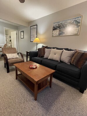 Smart TV, fireplace - ⛰️☀️ SKIING, HIKING, VILLAGE OF ELLICOTTVILLE MOUNTAIN ESCAPE (Ellicottville)