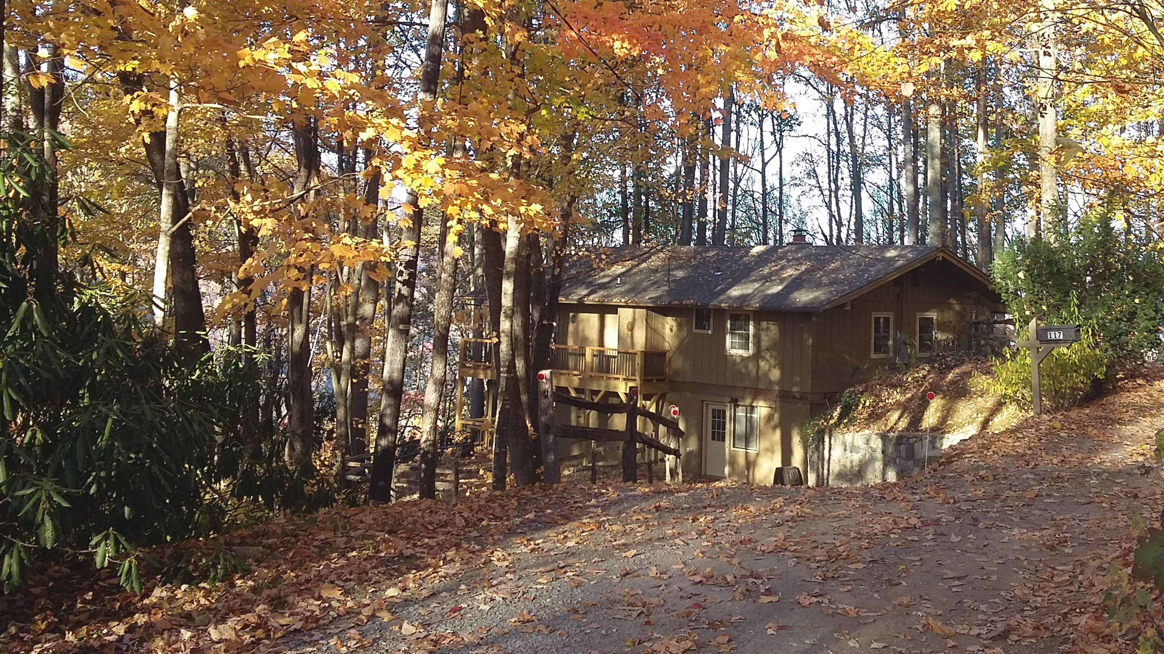 Treehouse Suite – Views, Hot Tub, Fire Pit, Kitchenette