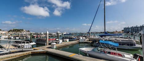 A marina with multiple boats docked, a clear sky, and a building with a distinctive roofline in the background.