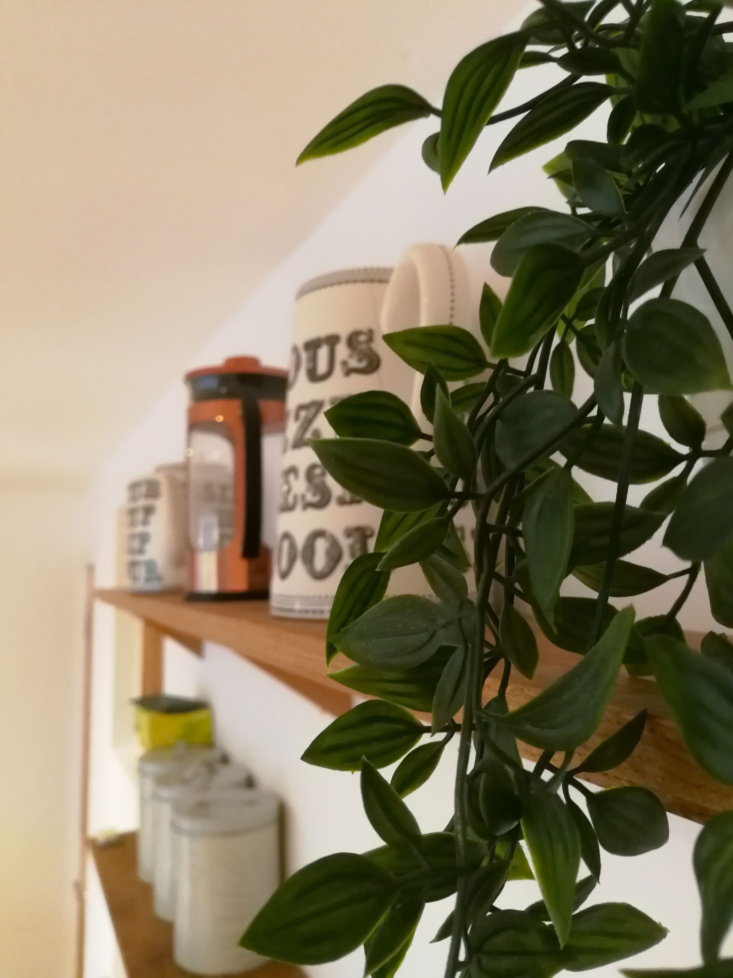 Uma prateleira com potes e uma planta.