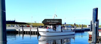 Cozy studio apartment "Kleine Auszeit" ‍了 friendly + terrace + garden, various extras