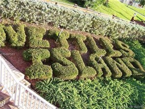 Parco della struttura