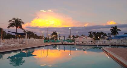 Sweet dreams at âIsland Dream â