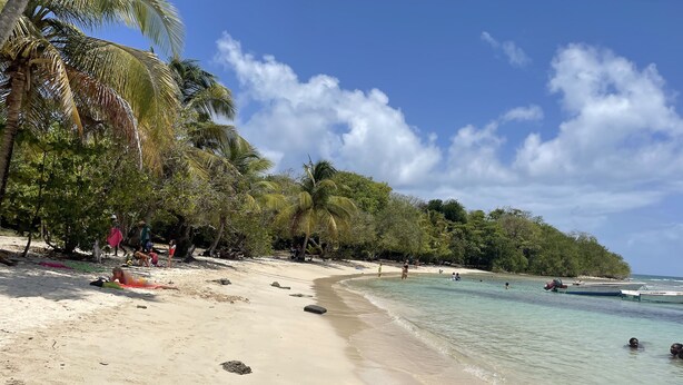 A beach with clear turquoise water, sandy shore, and palm trees. - House 90 m2 sleeps 6 (Le Gosier)