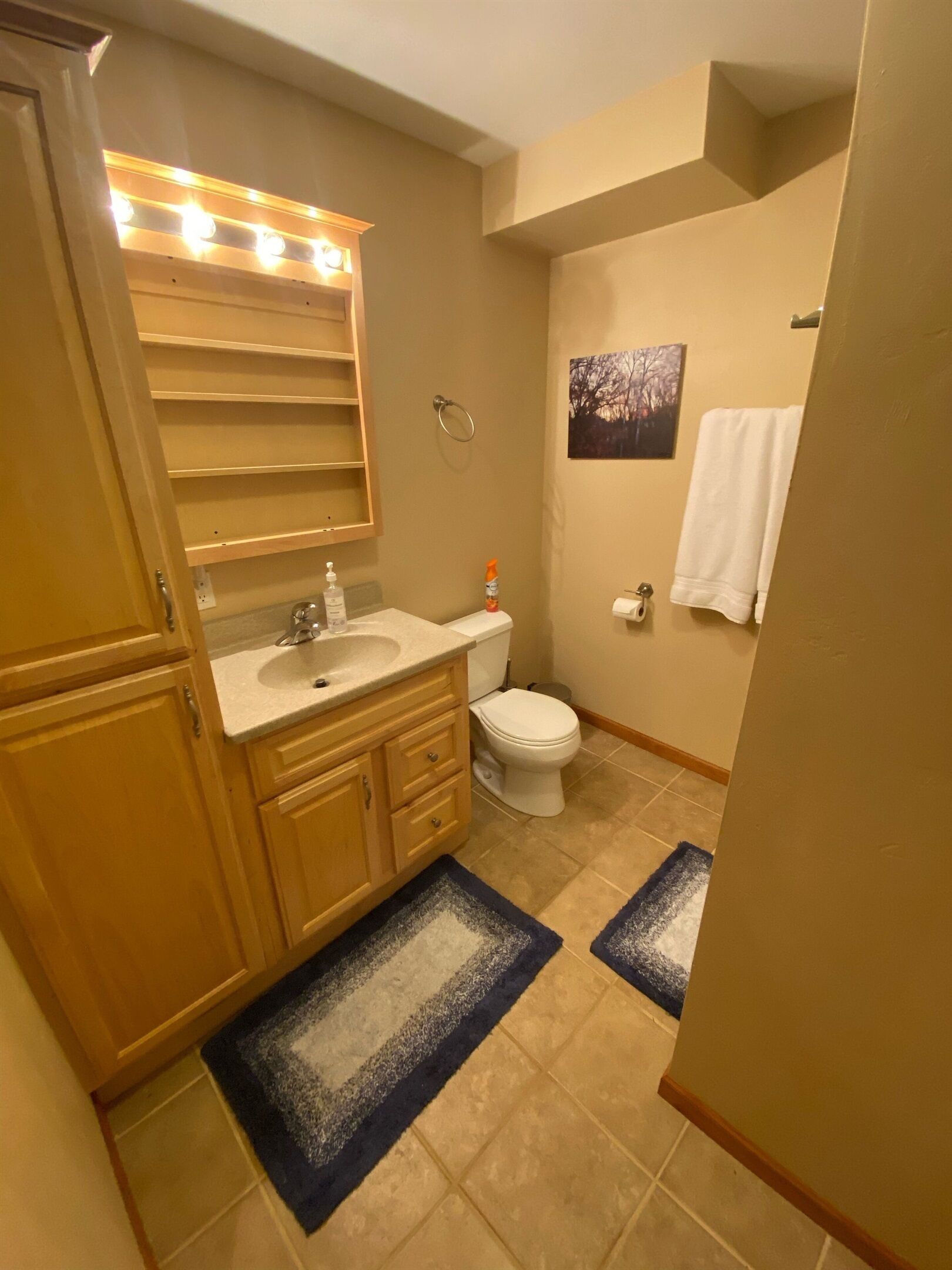 A bathroom with a wooden vanity, a toilet, and a sink. There are two blue and white rugs on the floor.