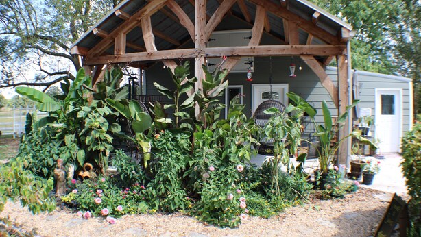 A wooden gazebo with a pitched roof, surrounded by a garden with various plants and flowers. - The Cabo Casa (Rogersville)