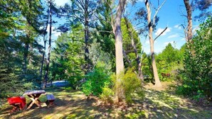 A forested area with a picnic table and benches. - Cherry Tree Cottage | Old-World Cottage, 3 Bedroom, A/C, Fireplace, Bath, Garden (Leura)