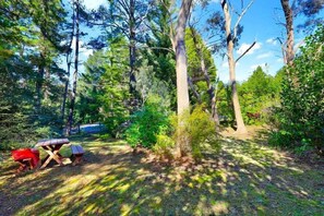 Property grounds - Cherry Tree Cottage | Old-World Cottage, 3 Bedroom, A/C, Fireplace, Bath, Garden (Leura)