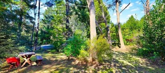 Cherry Tree Cottage - Old-World Cottage, 3 Bedroom, A/C, Fireplace, Bath, Garden