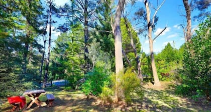 Cherry Tree Cottage - Old-World Cottage, 3 Bedroom, A/C, Fireplace, Bath, Garden