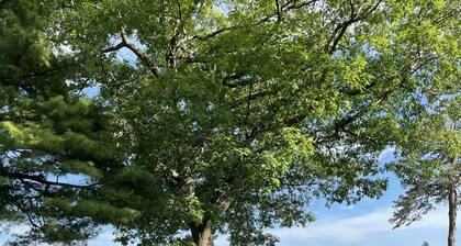 Amazing location on the St Lawrence River