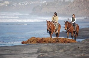 Beach - Beautiful Beachfront (Cape Coral)