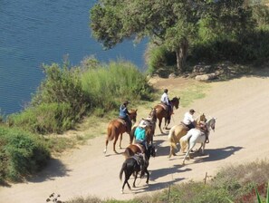 Miscellaneous - Beautiful Beachfront (Cape Coral)