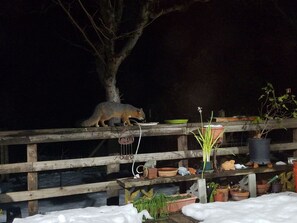 Property grounds - Comfy Trailer between Sacramento & Lake Tahoe (Colfax)