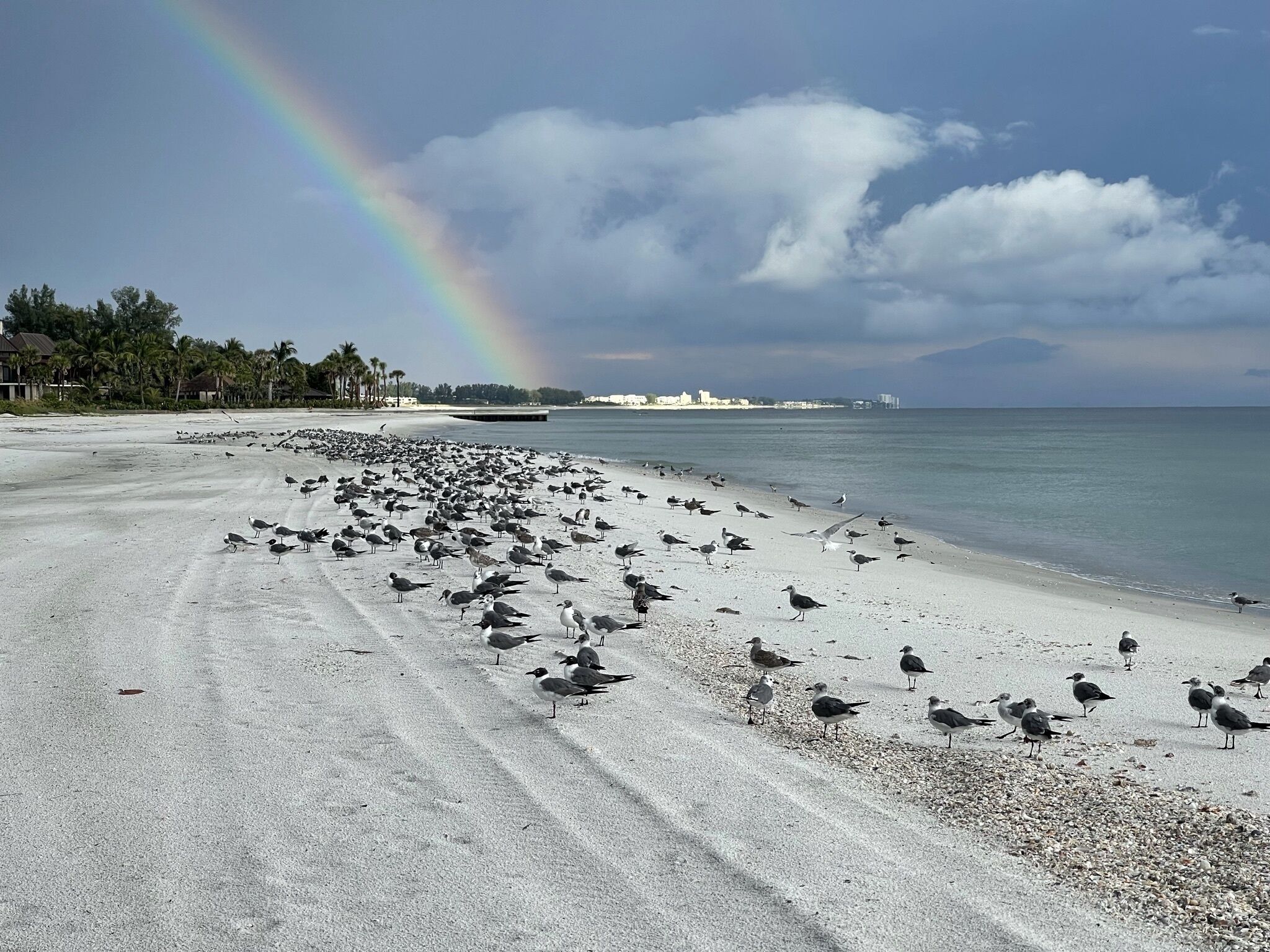 Luxury Beach Front Condo on the most private and select beach in Longboat Key.