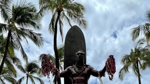 Une statue représentant un homme tenant une planche de surf, posée sur un rocher, entourée de palmiers et située dans un cadre de plage.
