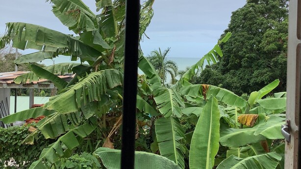 A view through a window with large banana leaves and a view of the ocean.