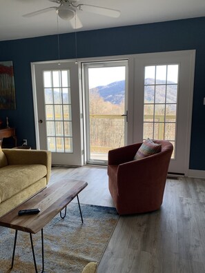 Smart TV, caminetto, libri