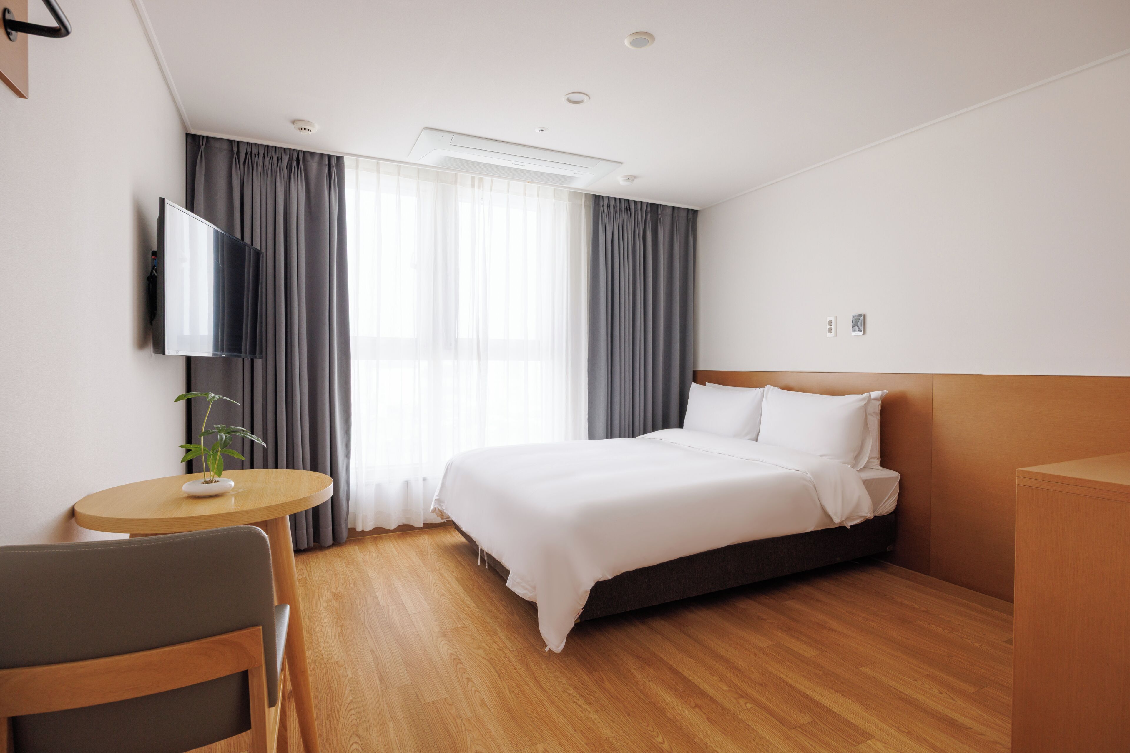 Une chambre d’hôtel avec un lit, un téléviseur fixé au mur, une petite table ronde avec une plante et une chaise.