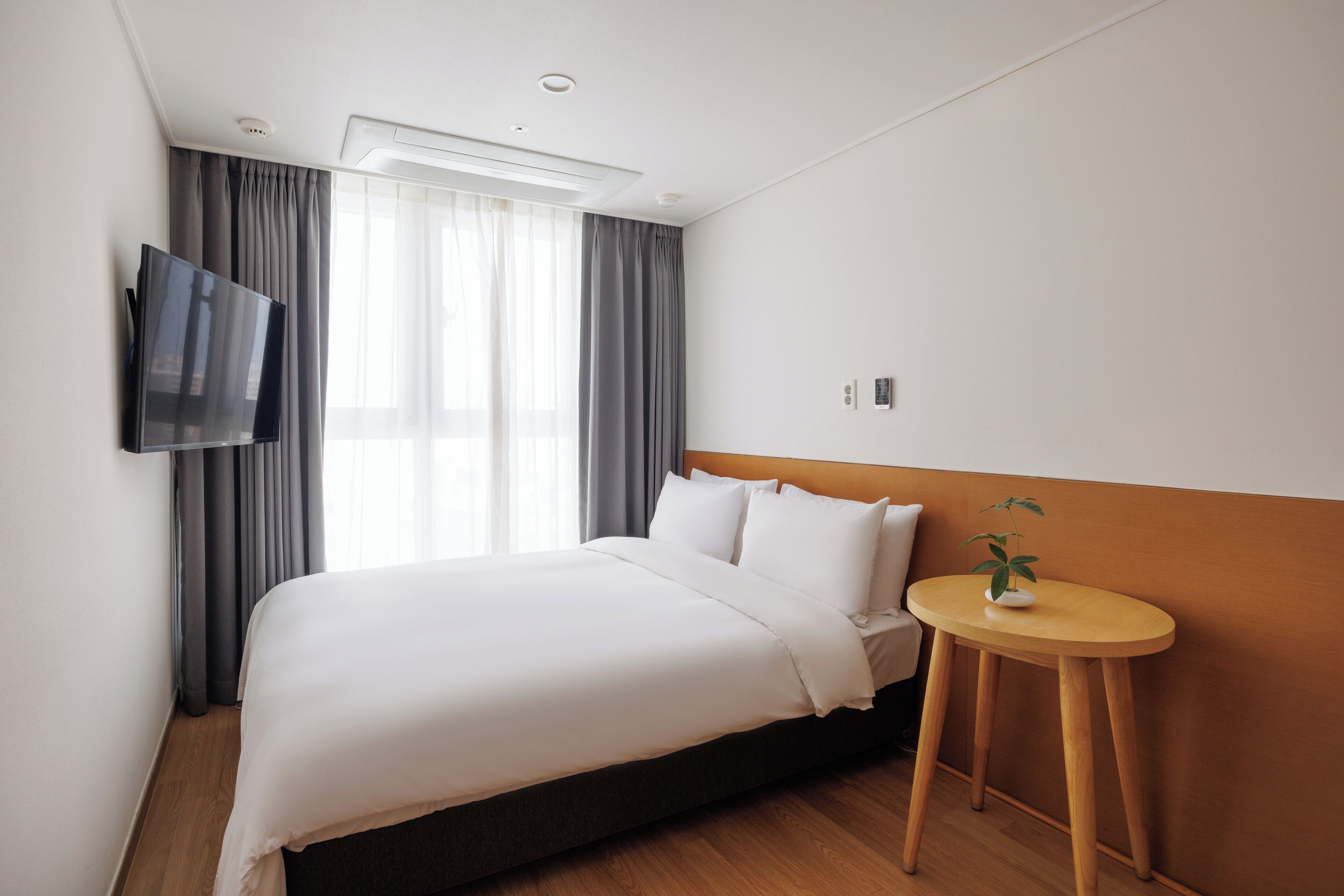 A hotel room with a bed, a TV mounted on the wall, a small table with a plant, and a window with curtains.