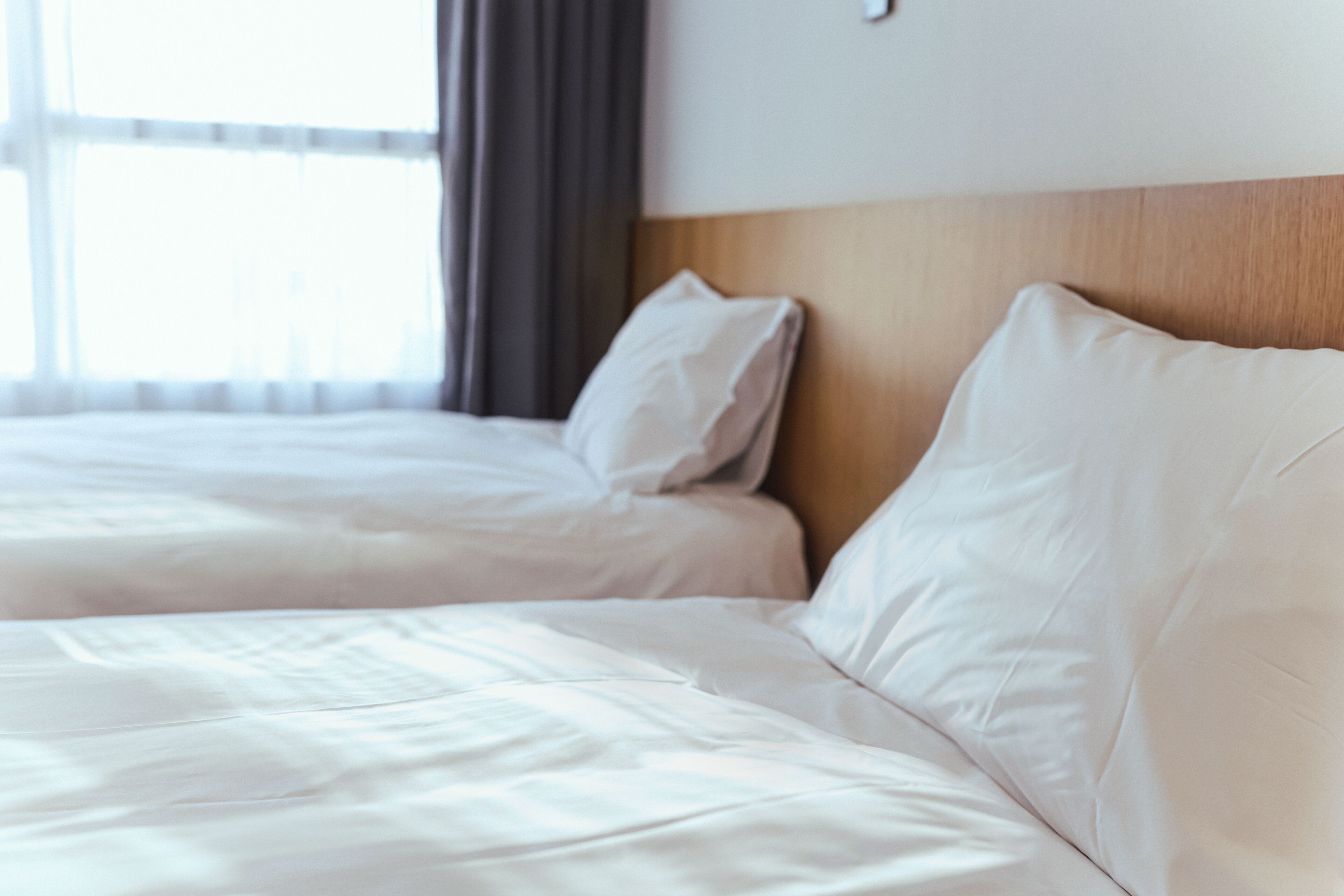 deluxe twin room | 1 bedroom, laptop workspace, free wifi, bed sheets