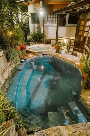 A hot tub surrounded by plants and a stone wall.