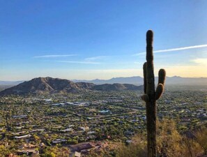 Unclassified image, 4 of 31, button