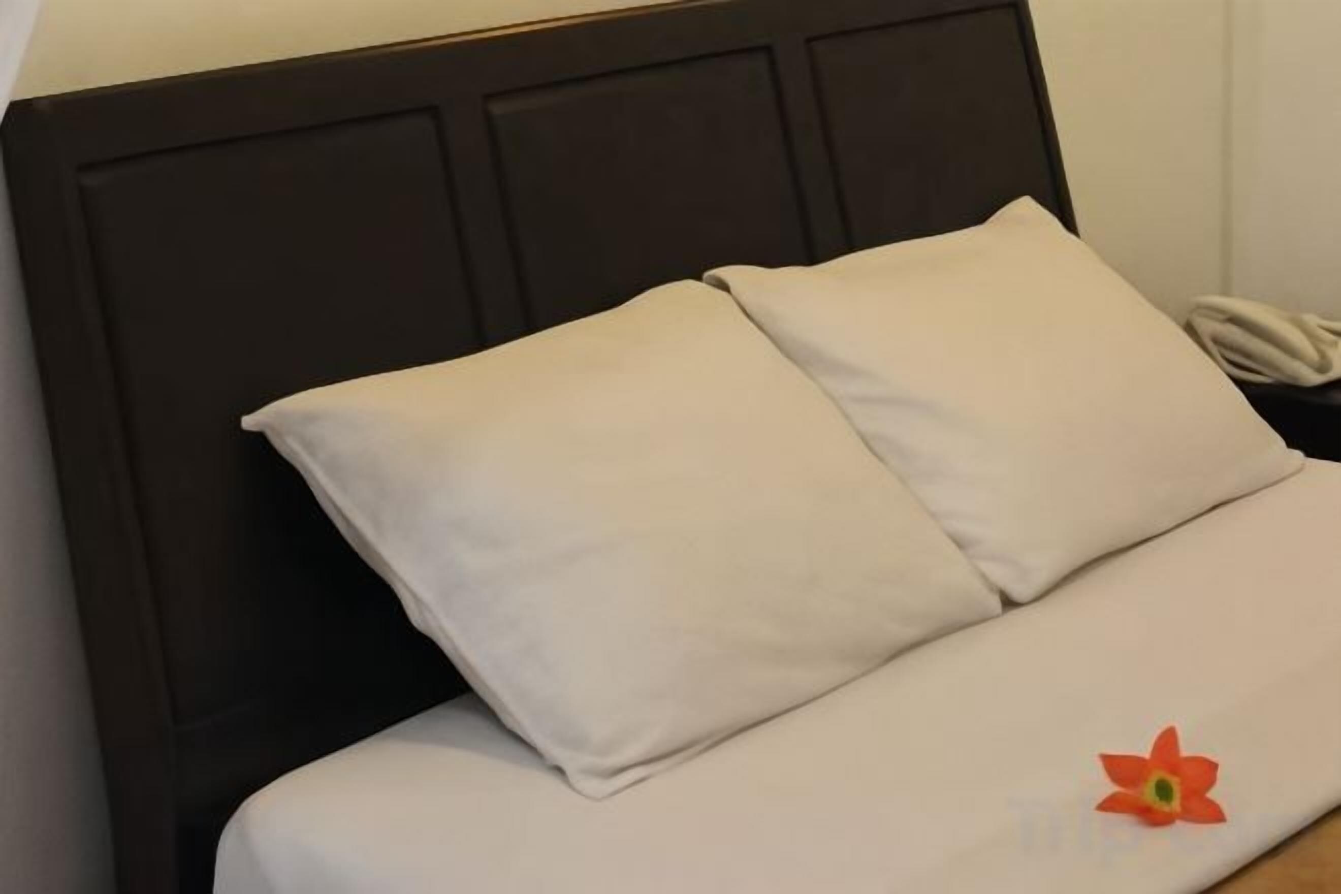 A bed with a dark headboard and two pillows.