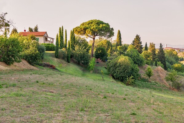 A house surrounded by a lush garden with various trees and shrubs. - Fienile, Montopoli Val D'Arno, Italy (Montopoli Val D'Arno)