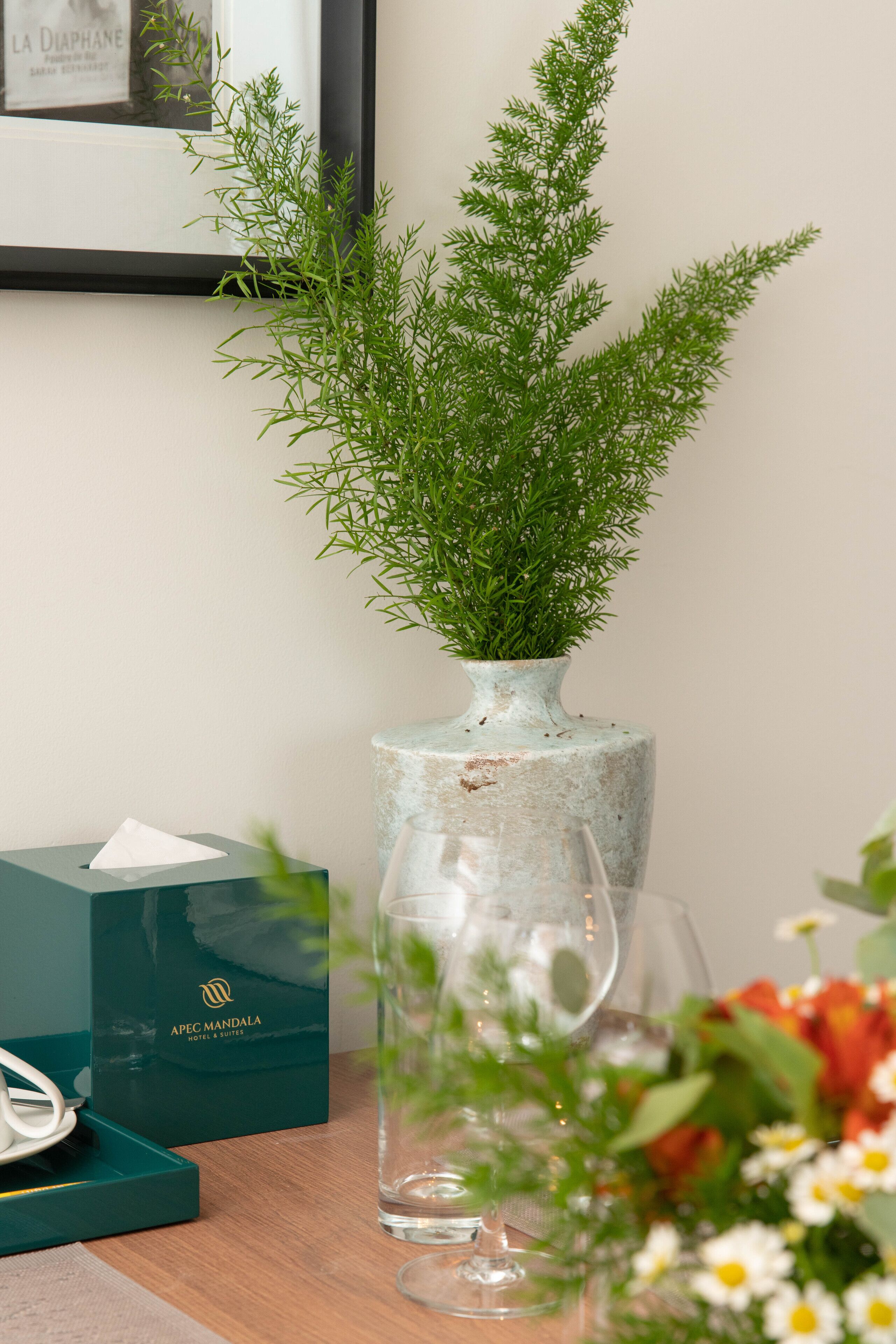 A green plant in a ceramic vase on a wooden table, next to a green box and a clear glass.