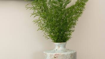 A green plant in a ceramic vase on a wooden table, next to a green box and a clear glass.