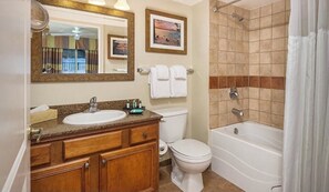 Combined shower/bathtub