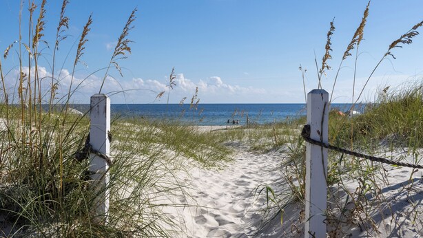 Een zandpad langs het strand dat naar de oceaan leidt, met hoge grassen en een helderblauwe lucht.