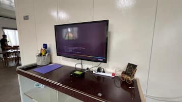 Television