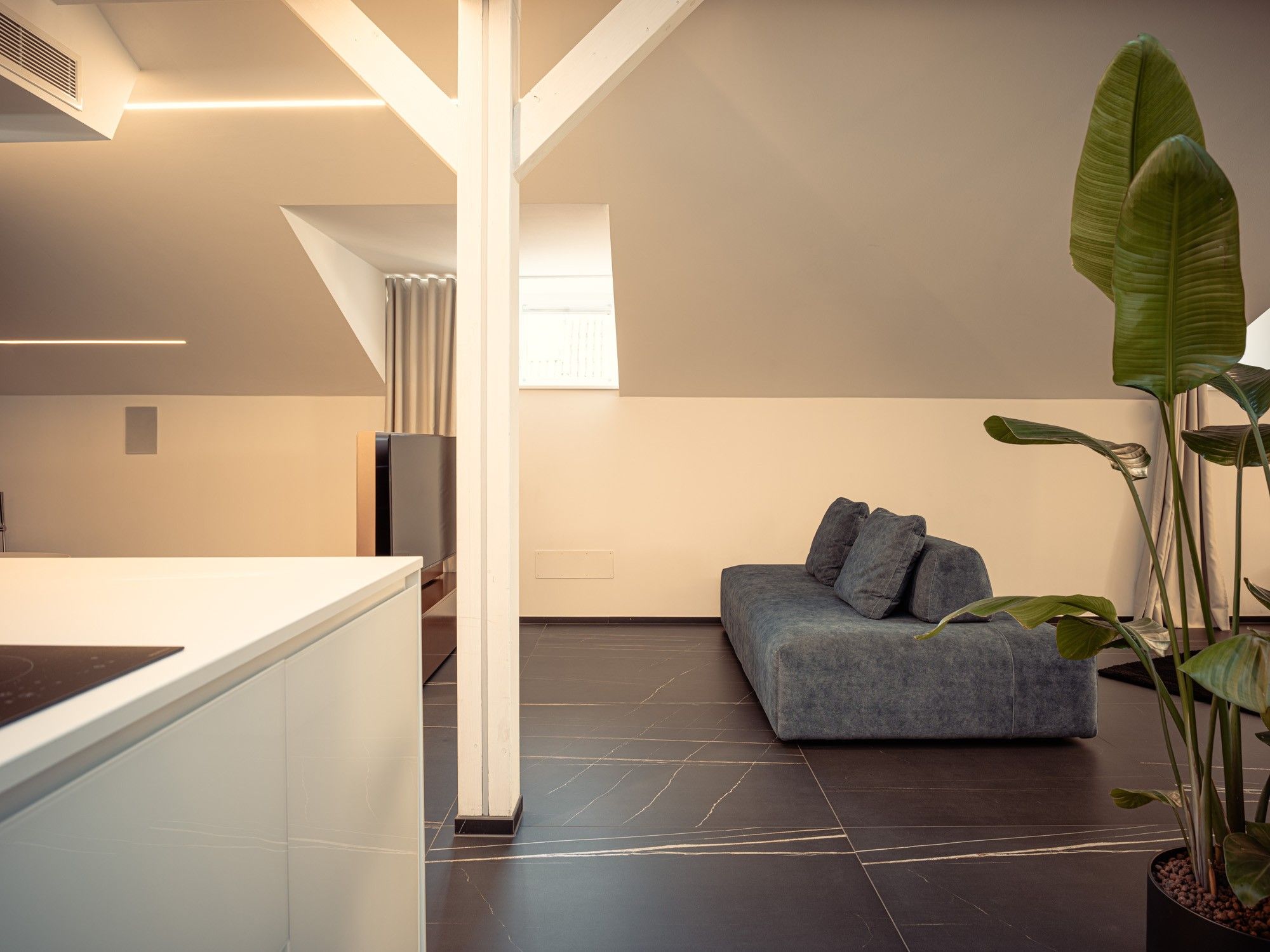 Un espace de vie moderne comprenant un canapé, une plante en pot et un coin cuisine.
